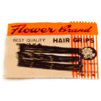 Pinche para el cabello