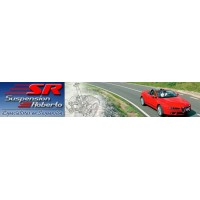 VENTA Y COLOCACION DE REPUESTOS IMPORTADOS Y NACIONALES