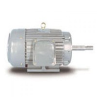 Motores TECO Westinghouse :: Para Bombas ::
