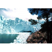 EL CALAFATE 