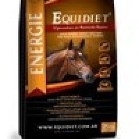 ENERGIE EQUIDIET