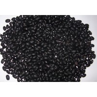 Porotos Negros