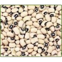  FRIJOL CASTILLA BLACK EYE