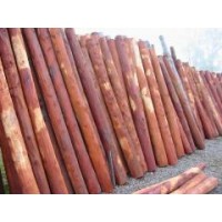 Postes de quebracho e Itin, varillas, tablas de madera dura